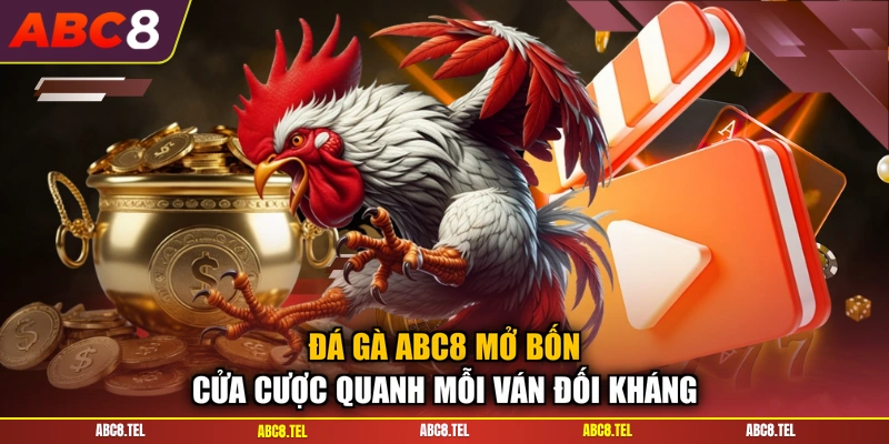 Đá gà ABC8 mở bốn cửa cược quanh mỗi ván đối kháng